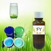 Green Tea Fragrance