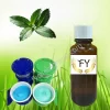 Mint Fragrance