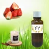 Strawberry Scented Candle Fragrance