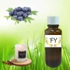 Blueberry Scented Candle Fragrance