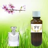 Peach Perfume Fragrance