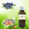 Blueberry Candy Flavor