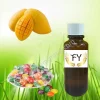 Mango Flavor Confectionary