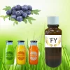 Blueberry Beverage Fragrance