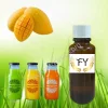 Mango Flavor Juice Beverage