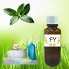 Mint Fragrance