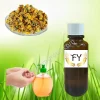 Wild Chrysanthemum Fragrance Handwash