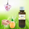 Sakura Fragrance Handwash