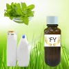 Lemongrass Mint Hair Conditioner Fragrance
